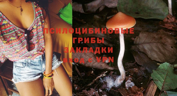 MESCALINE Богданович