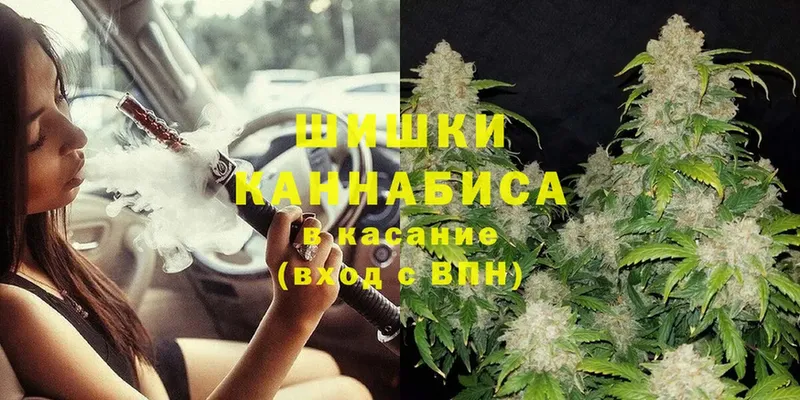 Шишки марихуана THC 21%  Шагонар 